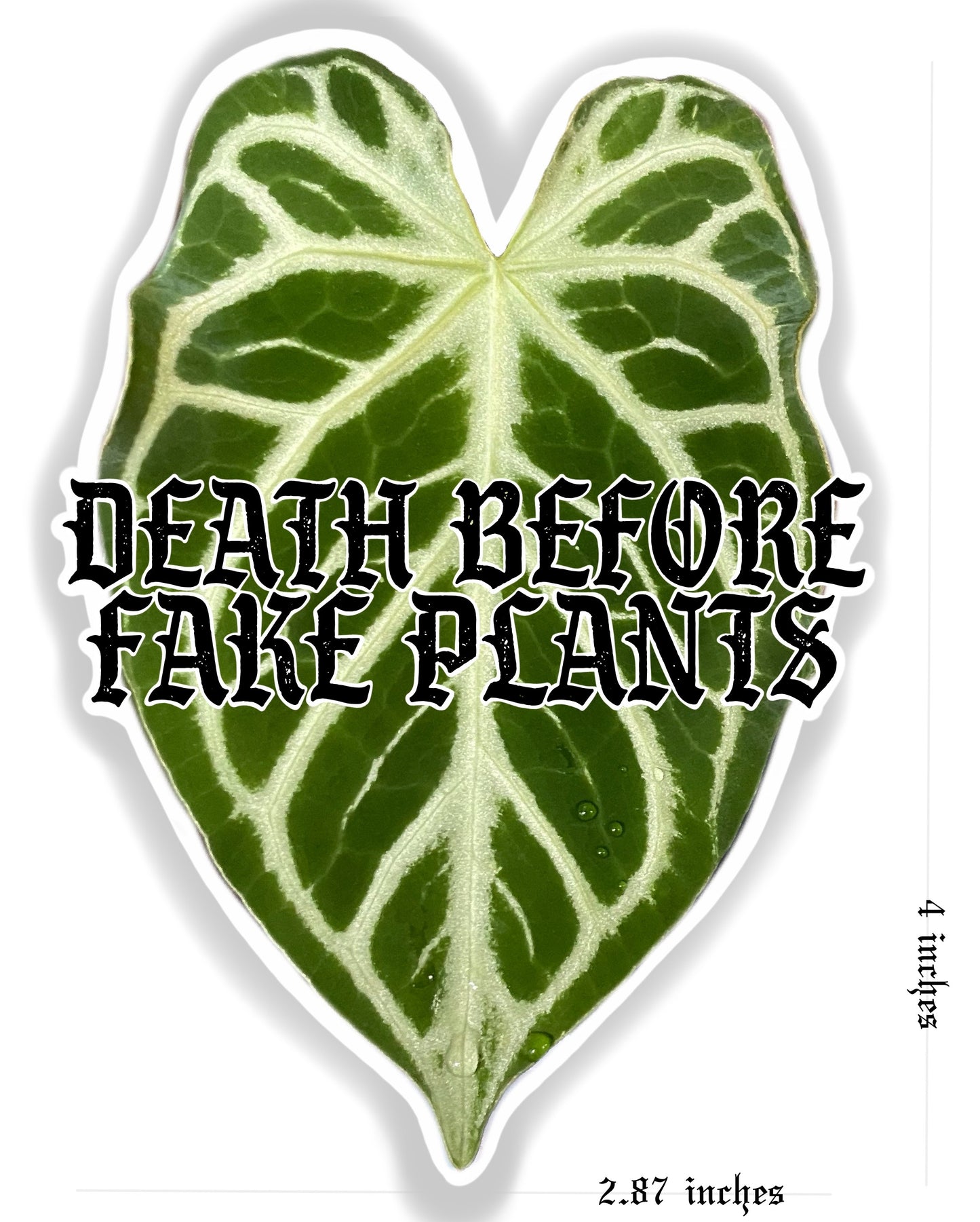Death Before Fake Plants Sticker